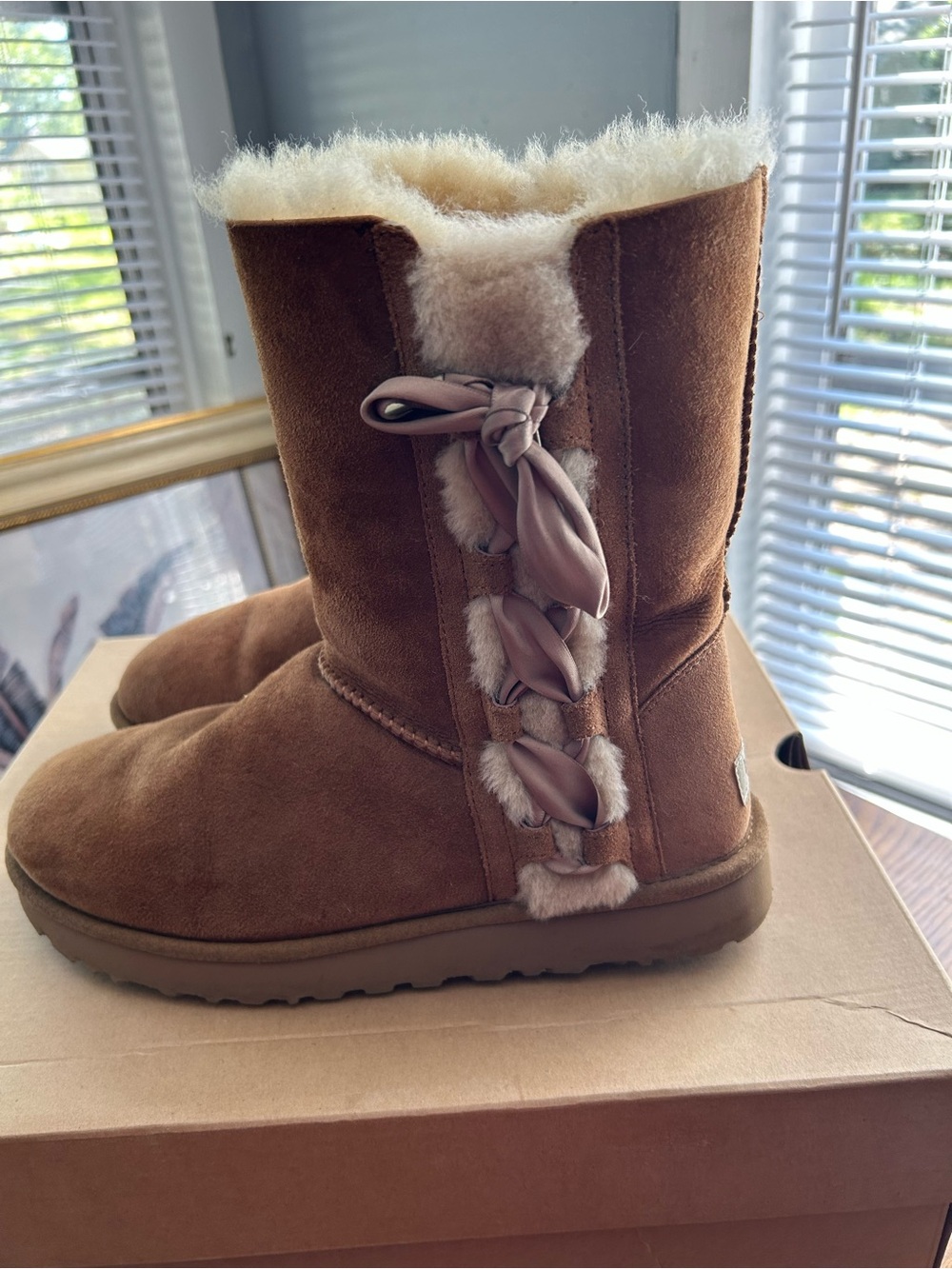 Ugg Pala Chestnut Suede Shearling-Lined Winter Boot